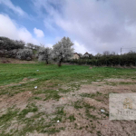 66530365 40ed 44c4 895a 694c74c0aa51