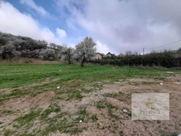 66530365 40ed 44c4 895a 694c74c0aa51