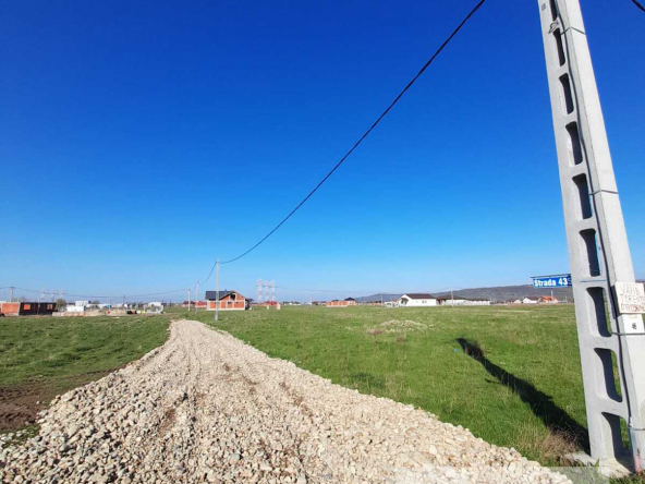 84294752 2650 45f7 83c6 e52f267387d3