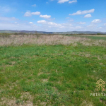 893c4ece a3a3 4179 8b6b 2ef687d25668