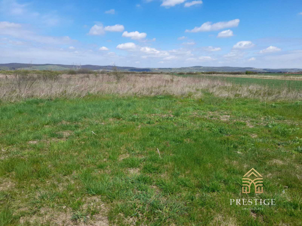 893c4ece a3a3 4179 8b6b 2ef687d25668