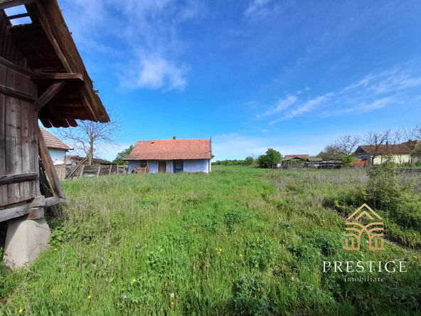 2e7cf2e5 6a5c 4ca9 9c41 e7dcffa0b183