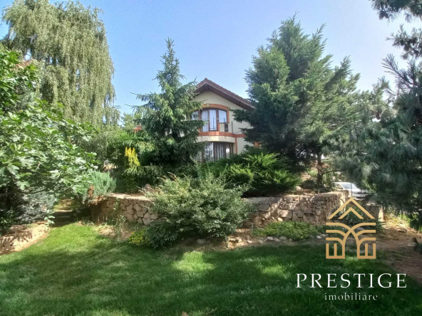 5bf6207c 3fab 4451 ac6b 45f7c6a97747