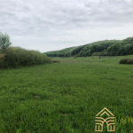 99f4d020 3a27 488c afc8 2925b98feadf