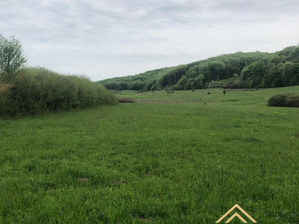 99f4d020 3a27 488c afc8 2925b98feadf