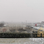 3ed99679 f8d7 419c 8c95 f6a03a2e6ce0