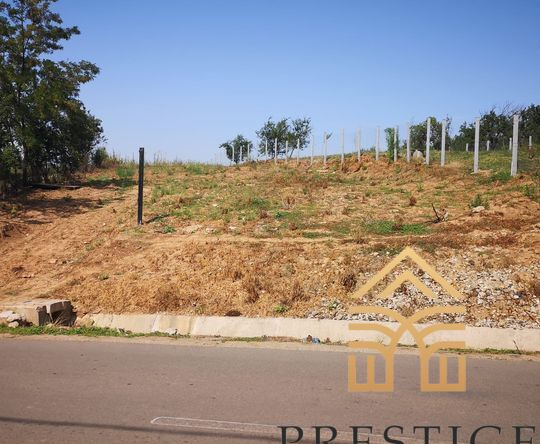 WhatsApp Image 2022 05 06 at 16.55.12