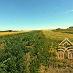 3c1bac13 0bd8 4663 ba1c a069737bbf49