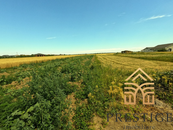 3c1bac13 0bd8 4663 ba1c a069737bbf49