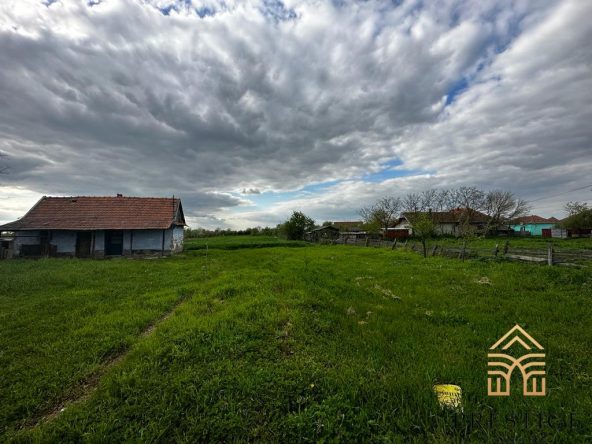 WhatsApp Image 2023 04 28 at 10.23.42 2