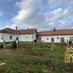 WhatsApp Image 2023 02 01 at 12.33.42 3