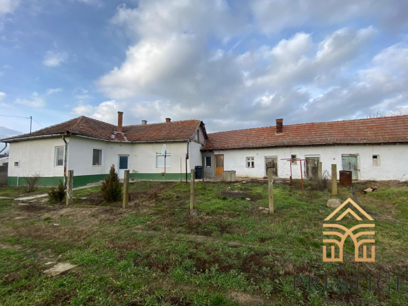 WhatsApp Image 2023 02 01 at 12.33.42 3