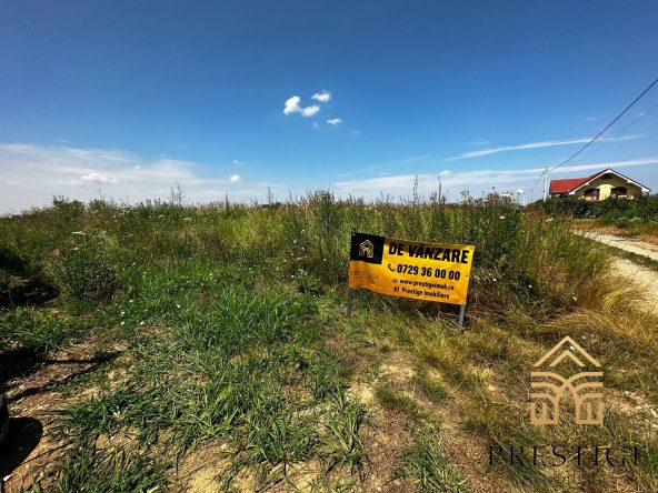 WhatsApp Image 2023 07 04 at 12.54.31