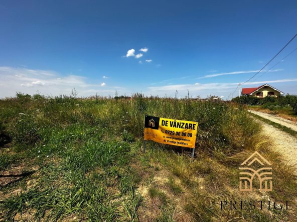 WhatsApp Image 2023 07 04 at 12.54.32