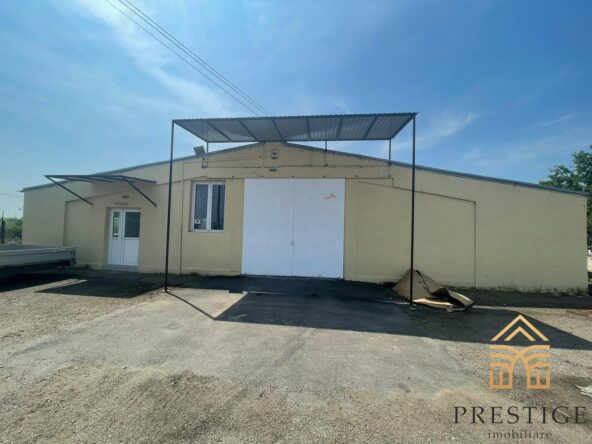 3e35439f c00d 4566 a204 39c241e0b5a2