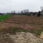 WhatsApp Image 2024 03 12 at 15.13.14 9b9927f3