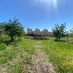 WhatsApp Image 2024 04 30 at 16.35.43 e95b8f17