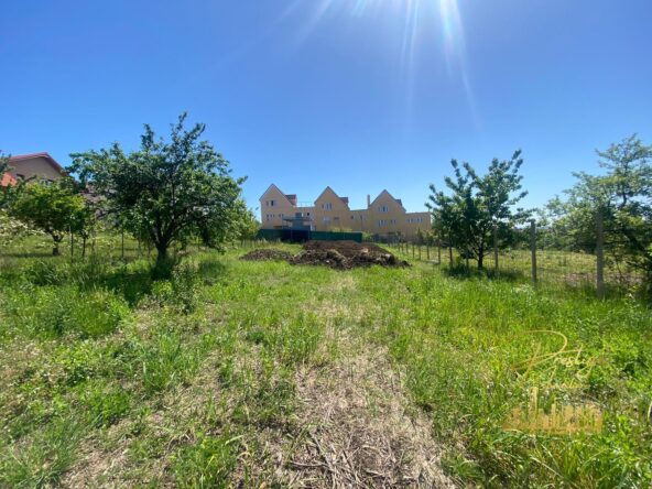 WhatsApp Image 2024 04 30 at 16.35.43 e95b8f17