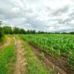 WhatsApp Image 2024 06 12 at 15.28.41 160a3852