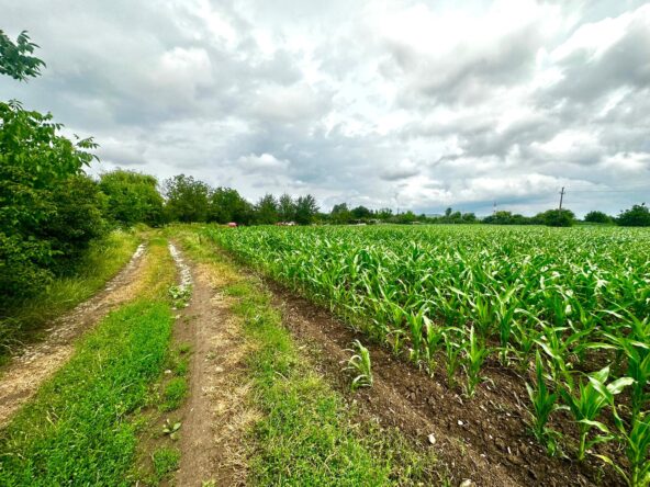 WhatsApp Image 2024 06 12 at 15.28.41 160a3852