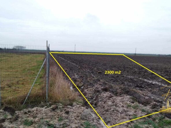 048869f4 c5b9 4a18 84e4 1388705f2e6d 1