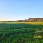 WhatsApp Image 2024 10 24 at 11.01.05 8e8e612d