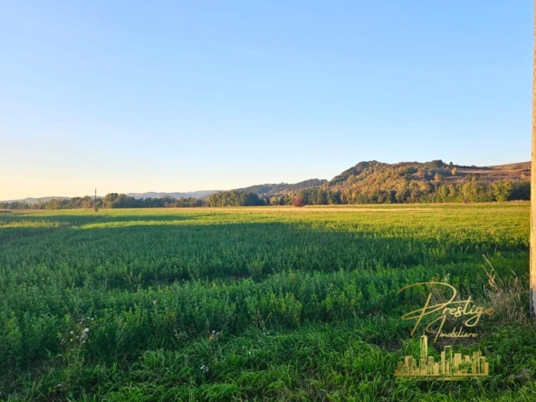 WhatsApp Image 2024 10 24 at 11.01.05 8e8e612d