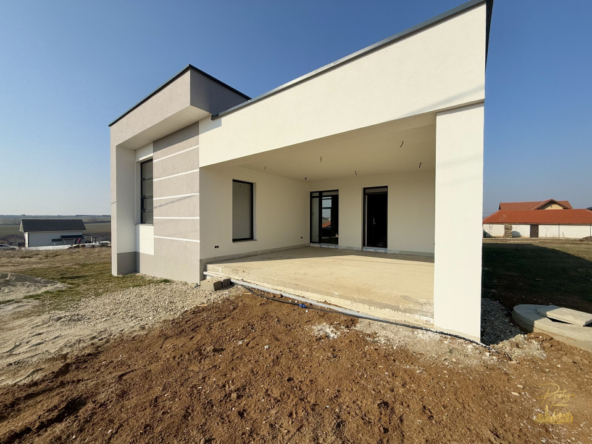 big 67aca18a66964 img 3597