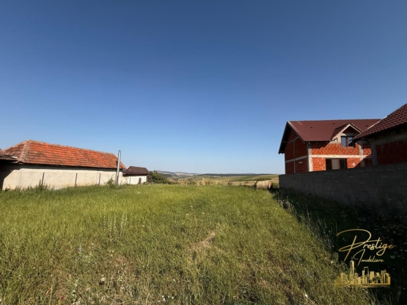 IMG 20250814 WA0007 1